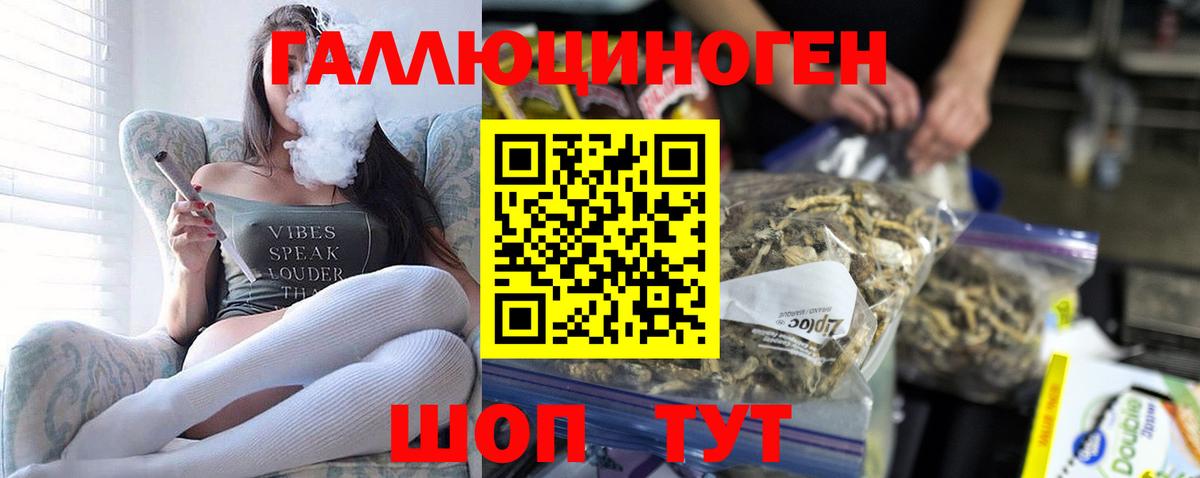 Новозыбков  Галлюциногенные грибы Cubensis  Вход с VPN 